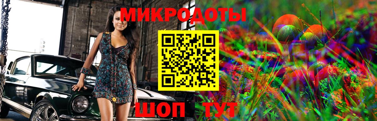 Галлюциногенные грибы GOLDEN TEACHER Кохма