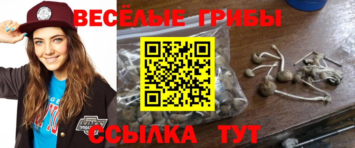 Кохма  Псилоцибиновые грибы ЛСД  Вход с VPN  Галлюциногенные грибы Magic Shrooms 